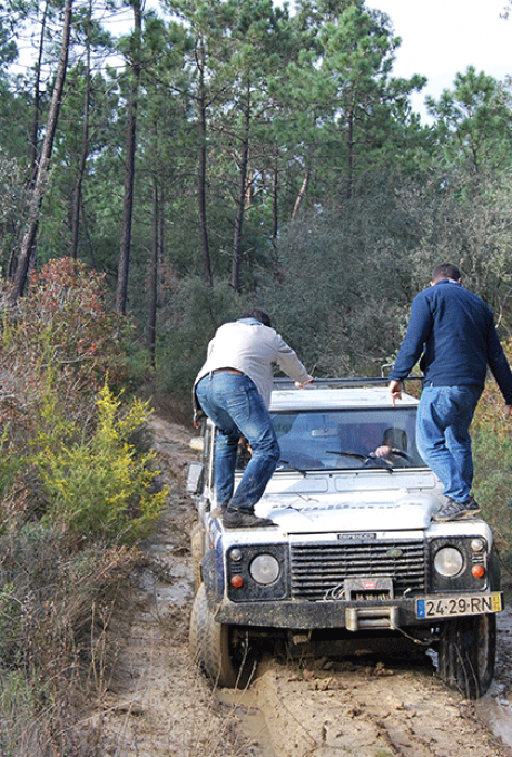TEMP-JEEP-2